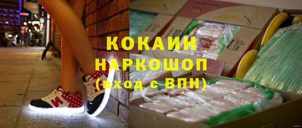дживик Арсеньев